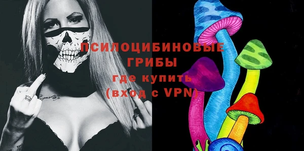 дживик Алексин