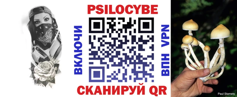 blacksprut как зайти  Бикин  Псилоцибиновые грибы Psilocybine cubensis 